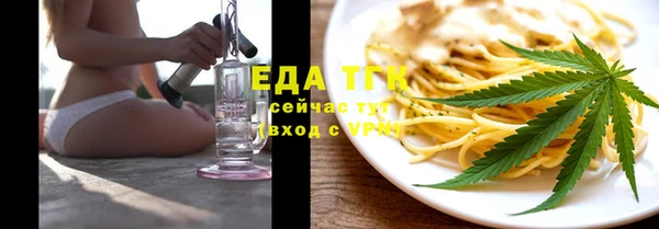 индика Вяземский
