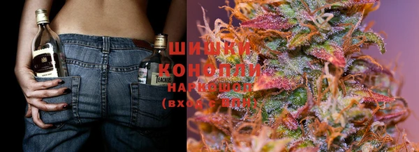 крисы Володарск
