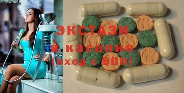 индика Вяземский