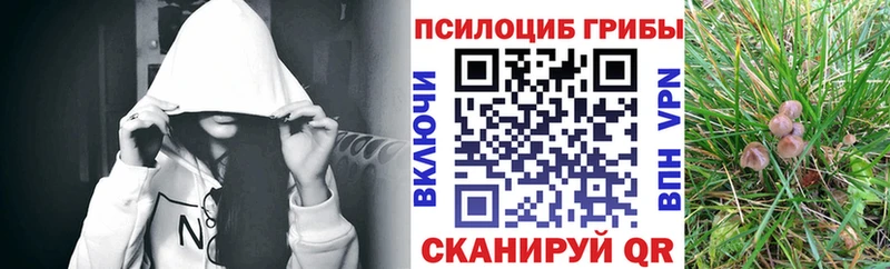Галлюциногенные грибы мухоморы  Купить закладки  Советск 